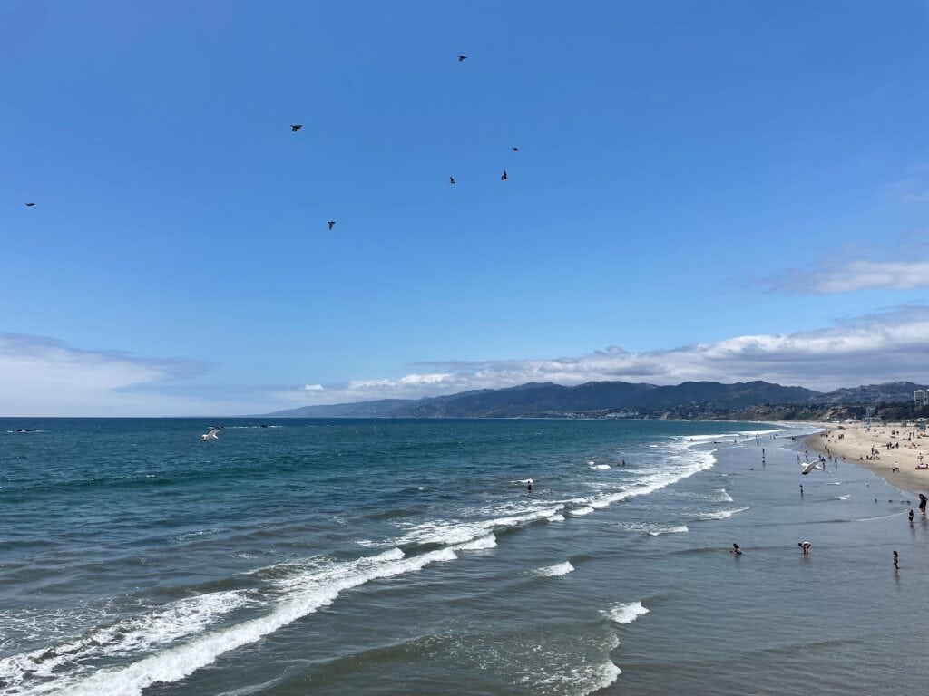Santa Monica Beach with beachgoers in the ocean and birds flying overhead.