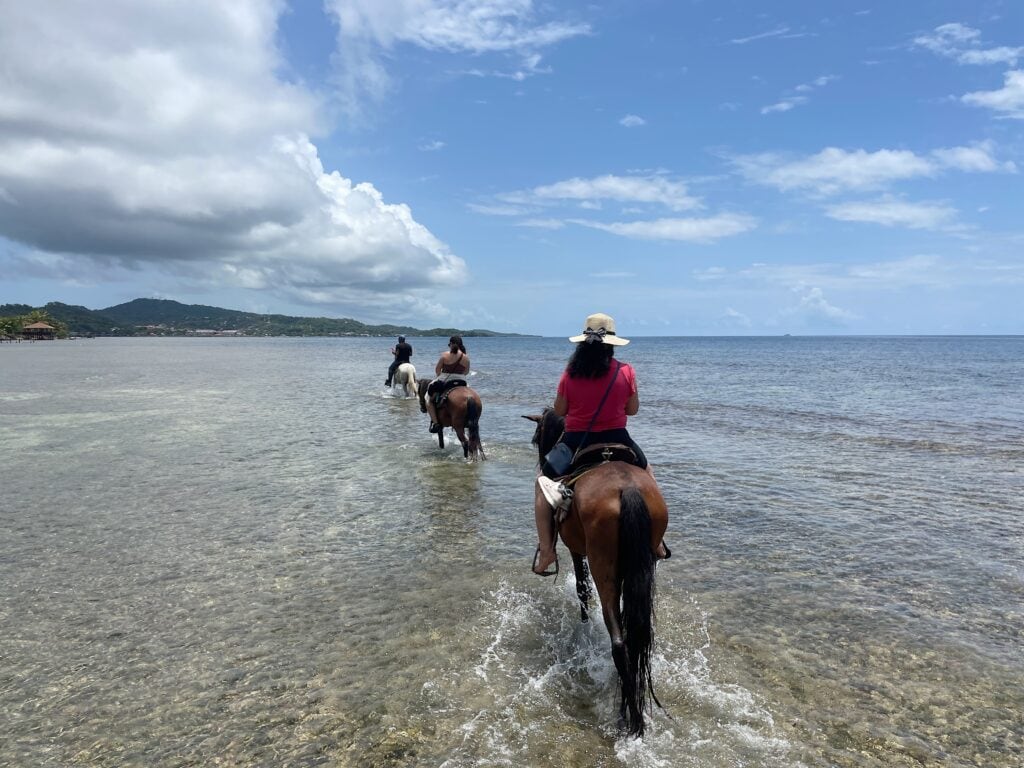 A group horse back riding in Roatan on the beach. 