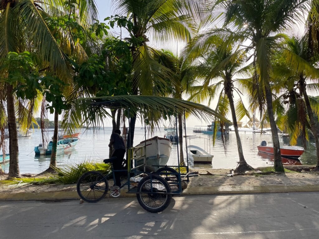Man rides a tricycle along West End in Roatan. 