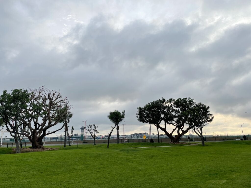 Green grass and trees with a gray sky across the street from the LAX landing strip.