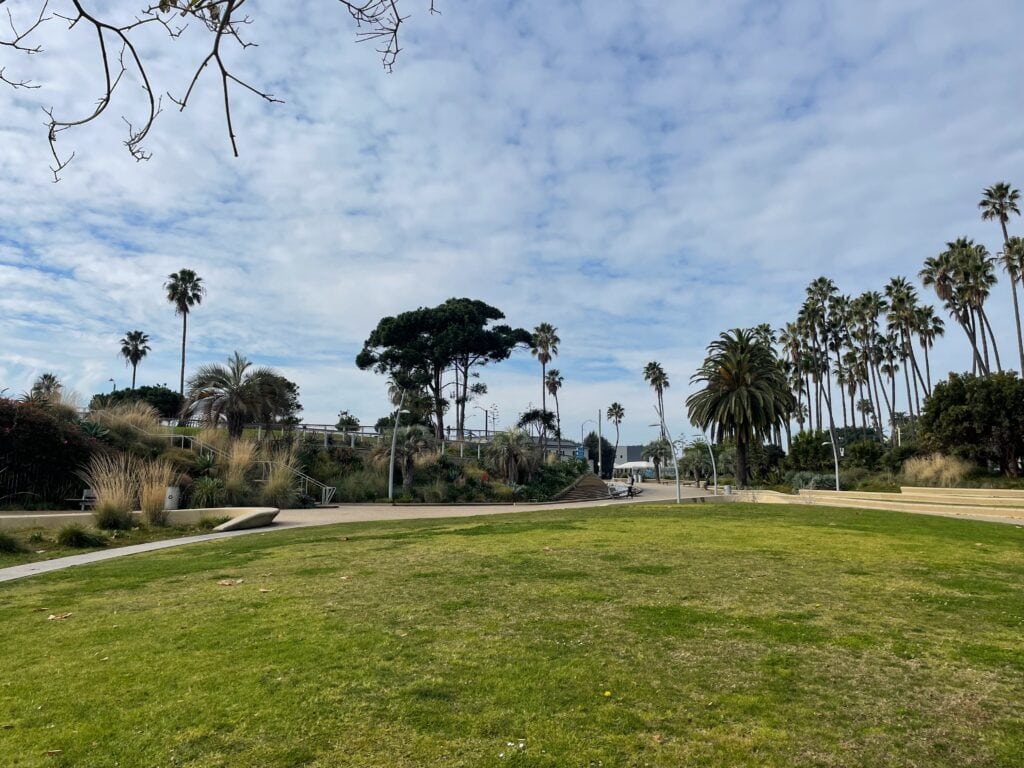 A large patch of grass and in the middle of two pathways with a blue clouded sky.