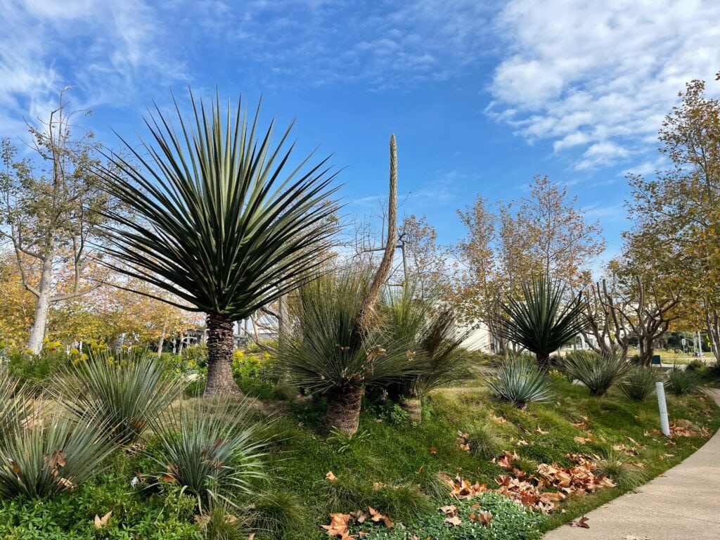 A variety of plants, baby palm trees and bushes with leafs on the ground.
