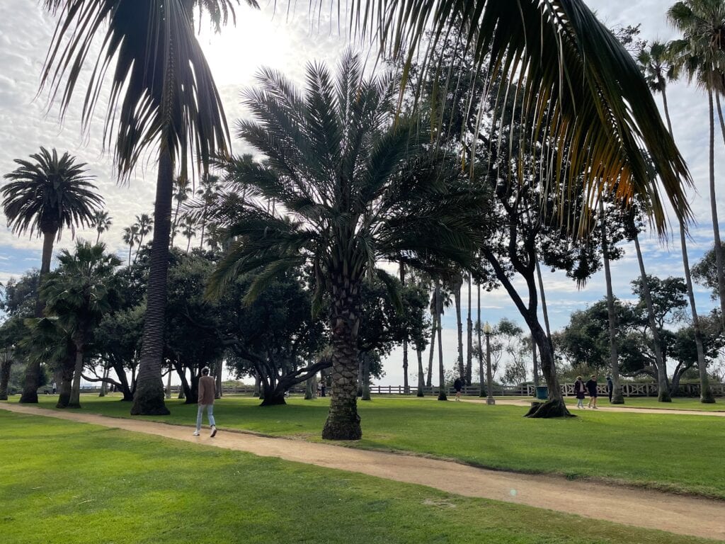 People walking on different pathways surrounded by trees.