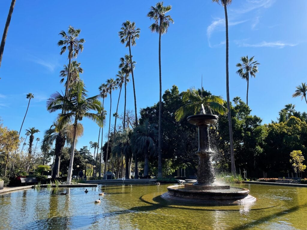 A long fountain in the middle of a pond with ducks in it.